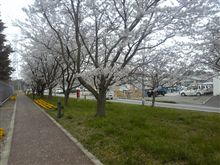 入園式