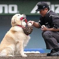 ミッキー大往生