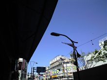 定点観測　4/15