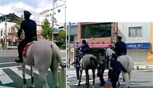 ウマのシリ