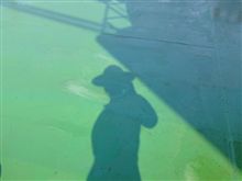 鈴鹿での写真
