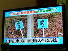 ﾅﾆｺﾚ珍百景SPで…