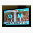 ﾅﾆｺﾚ珍百景SPで…