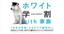 う～ん…替えるかな…