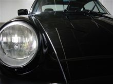 Chat Noir