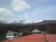 ( 」゜Д゜)」ＧＭ鯛オーイ!