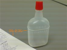 ４月のこの時期と言えば・・・