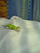 ふられた