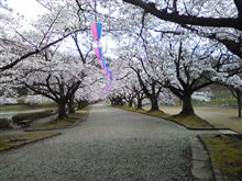 プチ花見