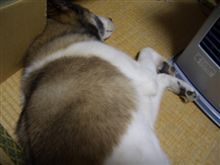 体調不良