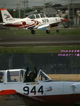 記念塗装＆マーキング特集！