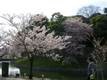 取り敢えず簡易で・・