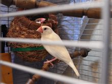 孫が生まれました（笑）