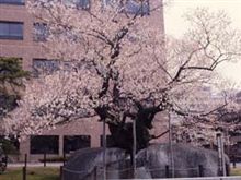週末おはよ～♪