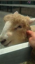 さわってごらん さわってごらん