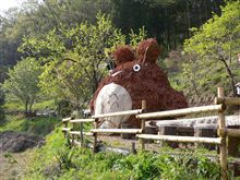 県民の森→どんぐり山→Σ(￣□￣|||)