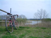 手賀川北側の、新しく出来た自転車道を走ってみました♪