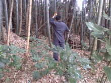 竹藪の中には○億円・・・