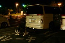 ミッドナイト念仏プチ in 岡山　(＠_＠;)