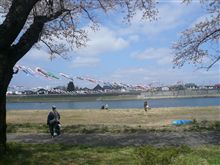 今日もいい天気おはよ～♪