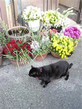 日差しに誘われて