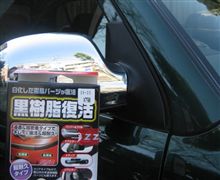 黒樹脂復活