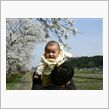 夏井千本桜