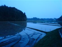 散歩道