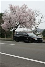 PUMAだけに