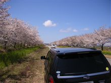 週末の予定変更