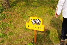熊本の思い出(*ﾟ▽ﾟ)ﾉ