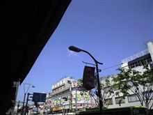 定点観測　4/22