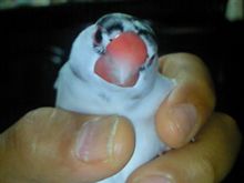 にぎにぎ