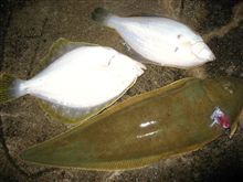 西北西の風4m/s波の高さ0.5m中潮/B