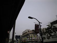 定点観測　4/24