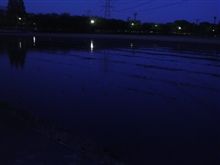 ゲロゲ～ロ