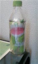 4月24日 生茶パンダ先生