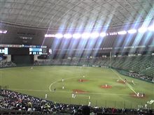 野球観戦（埼玉西武VS千葉ロッテ）