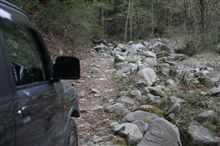 廃道の卵? 発見 廃道の卵? 発見