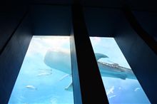 沖縄旅行　その他