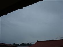 ４月２５日　これから雨が降り出すのね・・・、おはです～♪