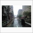 朝から雨降り(泣)
