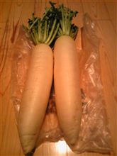 本日の収穫(^^)