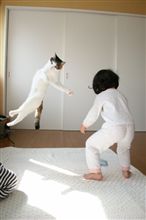 やはり今日も目覚めがいい