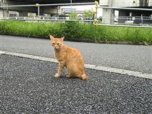 朝一番のお客さん