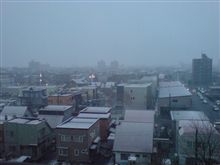 春なのに・・・。