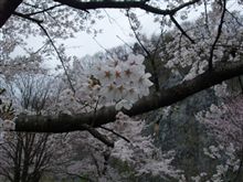 ハードスケジュール