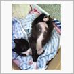 セクシーポーズ♪ｗｗｗ