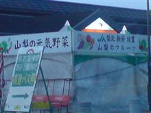 やべぇ(&gt;д&lt;)
