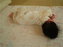 ナビが ナビが